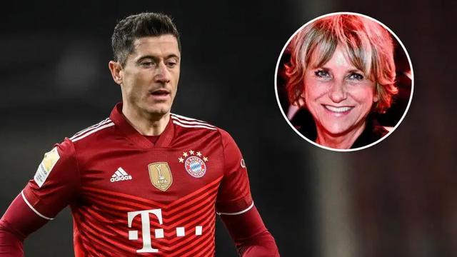 不仅展示了 不仅展示了